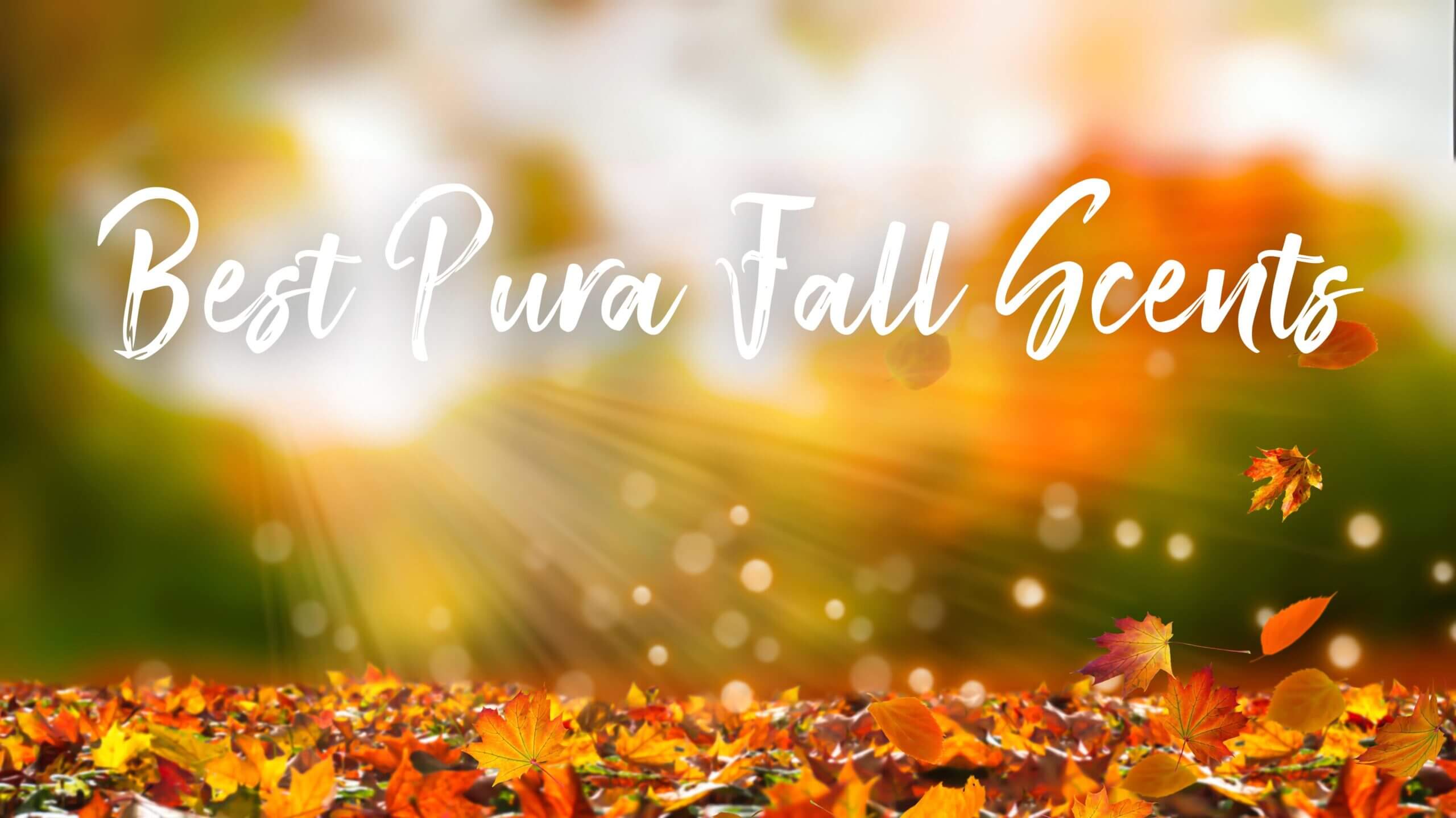 Best Pura Seasonal Scents