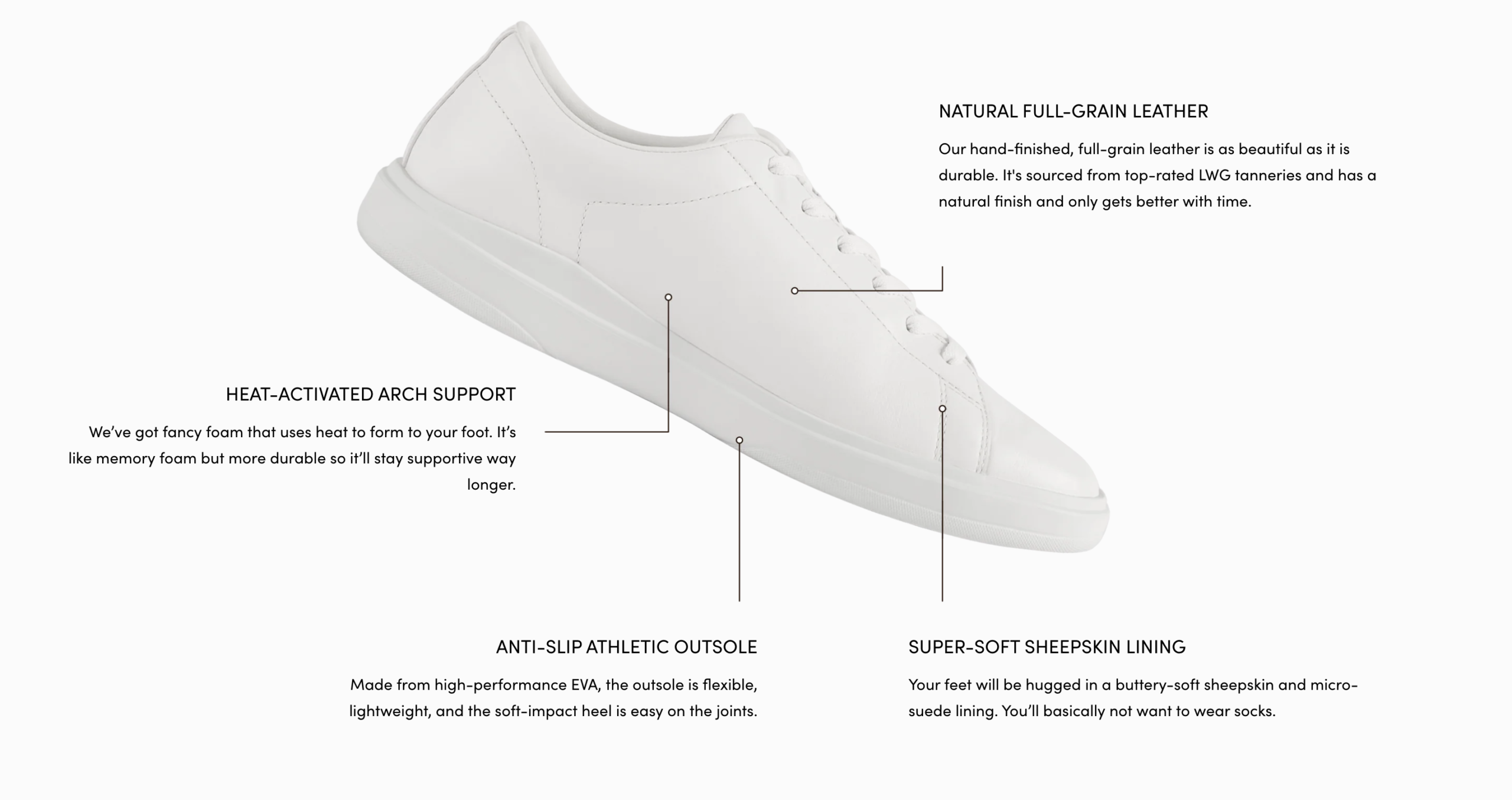 Amberjack Sneakers Review